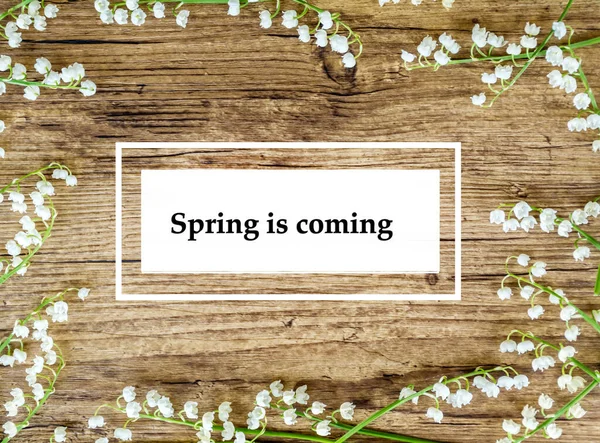 Vadi Çiçekleri Çerçevesi ve Baharın Zambağı Gelen Mesaj. Tahta arka planda bahar tebrik kartı