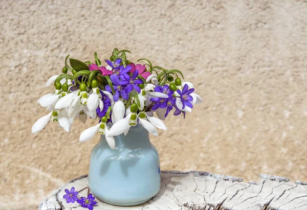 Voorjaarsboeket Van Sneeuwklokjes Hepatica Bloemen Een Kleine Decoratieve Vaas Voorjaarsvakantie — Stockfoto