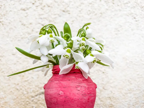 Vårbukett Med Snödroppar Blommor Rosa Dekorativ Vas Vårens Bakgrund — Stockfoto