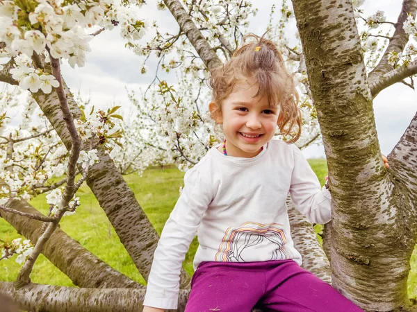 Criança Sorridente Feliz Sentada Galho Uma Árvore Cereja Florescente Primavera — Fotografia de Stock