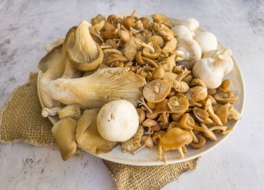 Gri dokulu arka planda çiğ mantar çeşitliliğiyle tabak