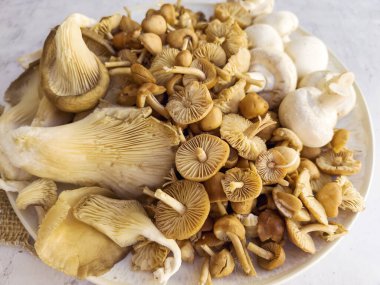 Gri dokulu arka planda çiğ mantar çeşitliliğiyle tabak