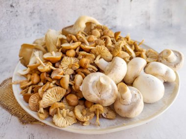 Gri dokulu arka planda çiğ mantar çeşitliliğiyle tabak