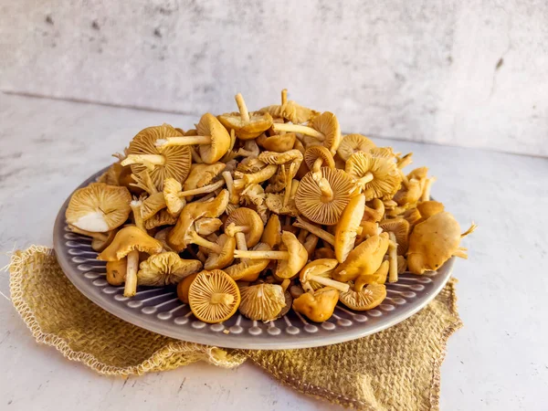 Gri dokulu arka planda çiğ mantar çeşitliliğiyle tabak