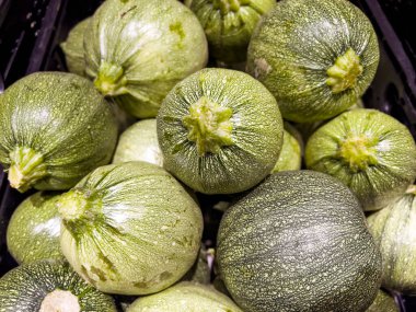 Fresh Raw Round Zucchini in the Market