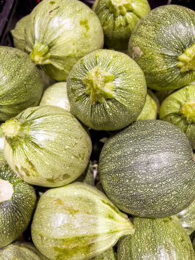 Fresh Raw Round Zucchini in the Market