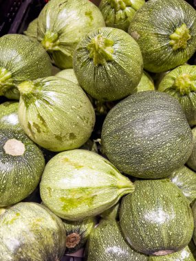 Fresh Raw Round Zucchini in the Market