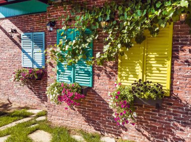 Beautiful brick house windows with colorful shutters, flower pot and ivy, Provence, France