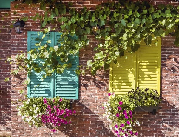 Beautiful brick house windows with colorful shutters, flower pot and ivy, Provence, France