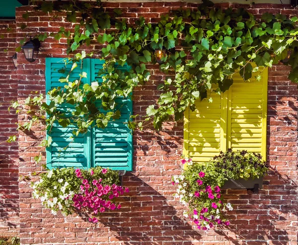 Beautiful brick house windows with colorful shutters, flower pot and ivy, Provence, France