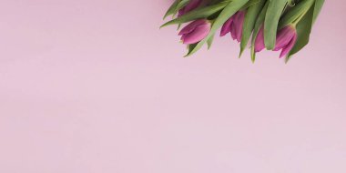 Pembe dikey arka planda pembe laleler. Düzen, düzlük, kopyalama alanı, üst görünüm. Pankart. Çiçek kompozisyonu. Seçici odak