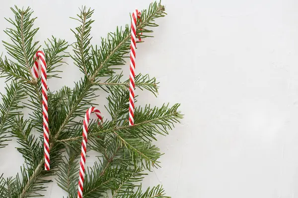 Una Rama Árbol Navidad Bastones Rayados Caramelo Rojo Blanco Sobre —  Fotos de Stock