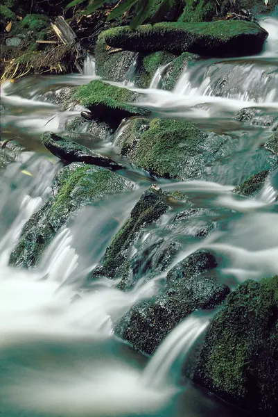 Small Stream Rapids through Mossy Rocks — Stock Photo, Image