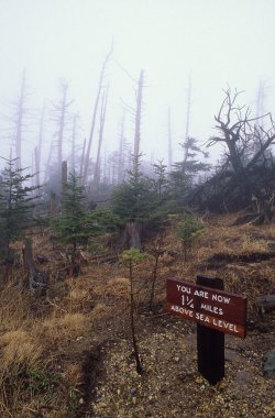 Yükseklik üst mount mitchell, nc gösterilen işareti