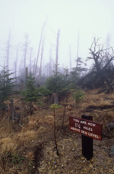 Tecken visar höjd på toppen av mount mitchell, nc Royaltyfria Stockfoton