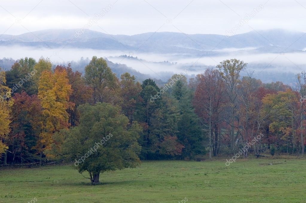 Field and Misty Mountains