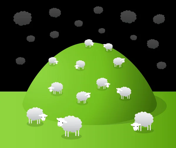 Grazing sheeps — Stock Vector