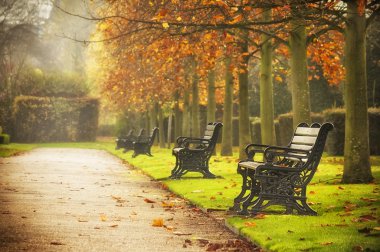 Benches in autumn park clipart