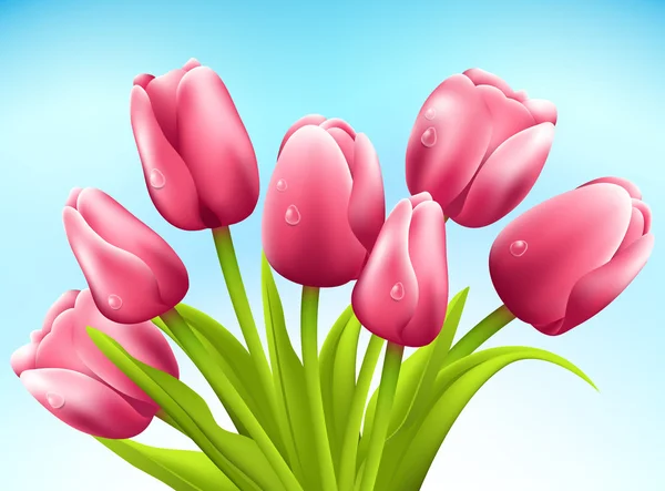 Un mucchio di tulipani su sfondo bianco. Vettore — Vettoriale Stock