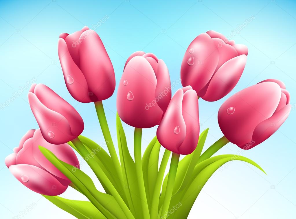 Bunch of tulips on white background. Vector