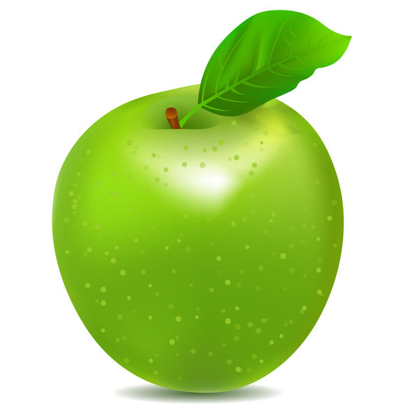 Detailed icon of big shiny green apple
