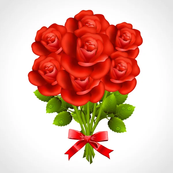 Bouquet of red rose — Stock Vector