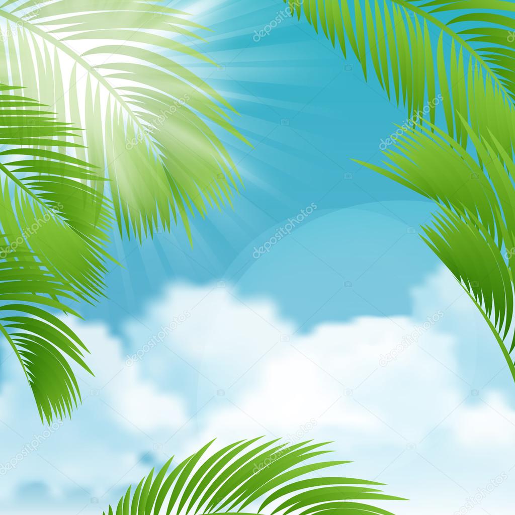 Beautiful view on sunny day with palm leaves.