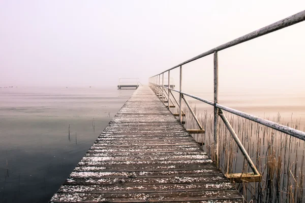 Seeufer — Stockfoto