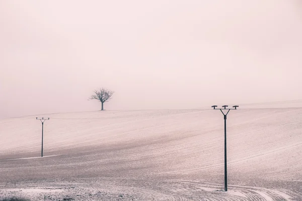 Hora de Inverno — Fotografia de Stock