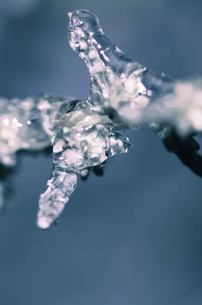 Lluvia de hielo — Foto de Stock