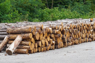 Yığılmış odun kütükleri kış ısıtması için hazır.