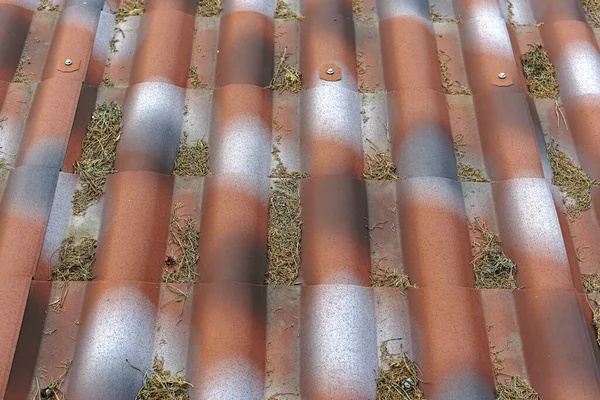 Painted Roof Tiles Covered Dry Tree Debris — Stock Photo, Image