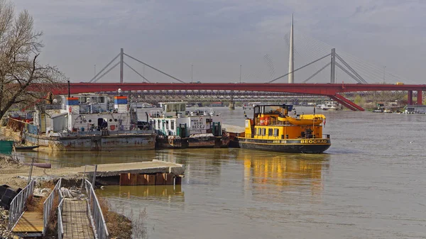 塞尔维亚贝尔格莱德 2018年4月5日 停泊在首都萨瓦河上的驳船和拖船 — 图库照片