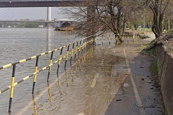 Zalana Ścieżka Rowerowa Wzdłuż Rzeki Sava Wybrzeża Powodzie Wiosną — Zdjęcie stockowe