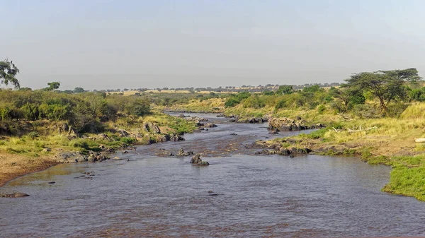 Mara River Wild Nature Kenya Africa Landscape — стоковое фото