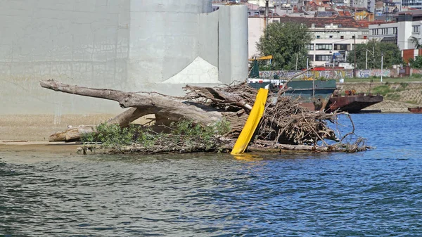 Zablokowanie Odłamków Drewna Dryfującego Betonowym Słupie Mostu Przepływ Wody Rzecznej — Zdjęcie stockowe