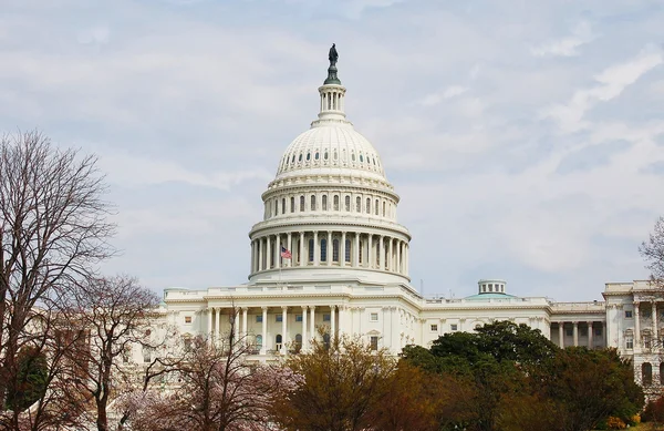 Amerikai Egyesült Államok capitol — Stock Fotó