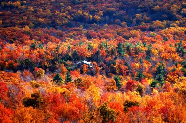 minnewaska state Park, new york sonbahar görünümü