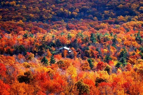 Осенний вид на парк штата Минневаска, Нью-Йорк — стоковое фото