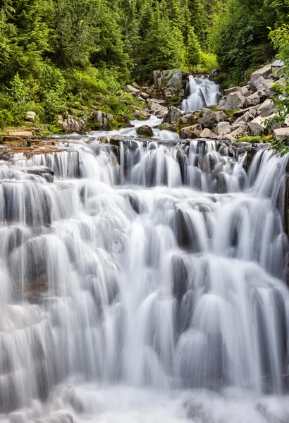 Cascading waterfall at Mount Rainier National Park