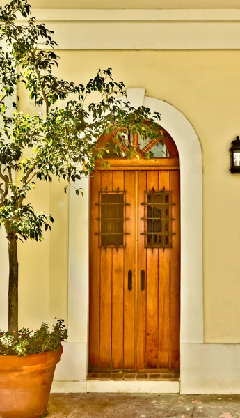 süslü kapı demir barlar