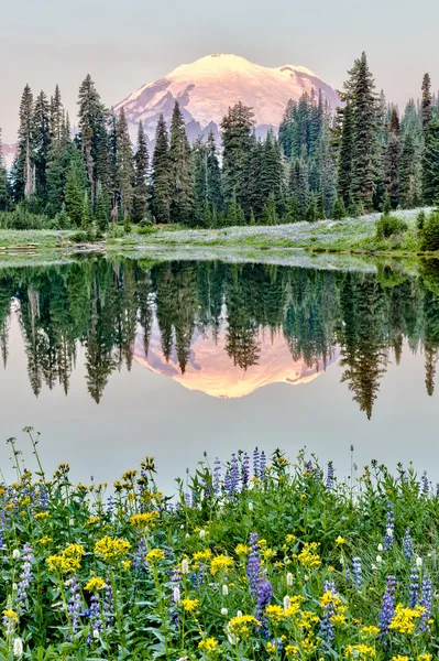 Mt Rainier reflection on Lake Tipsoo at sunrise, Washington — Stock Photo, Image