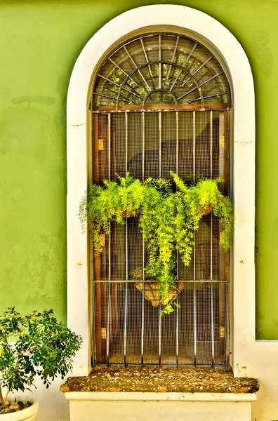 Ornate metal screen door with lacy plant — Stock Photo, Image