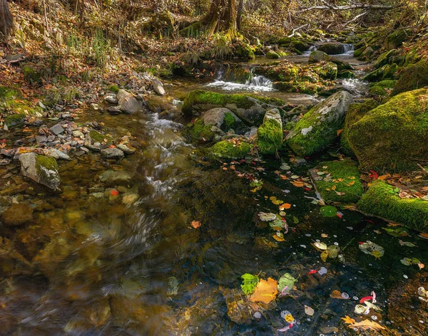 苔で覆われた石で秋の森の川 — ストック写真
