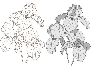 Göz ile el çizimi illüstrasyon