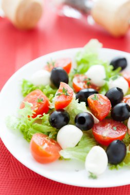 mozzarella ve domates salatası