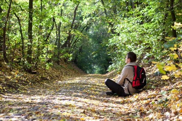 Tourist a path strewn with yellow leaves — Stock Photo, Image