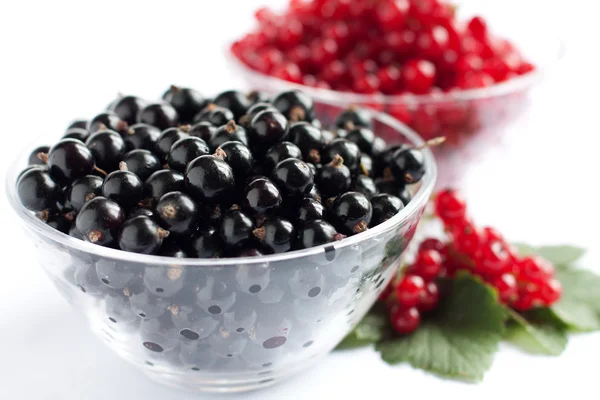 Ripe fruit - currants two types — Stock Photo, Image