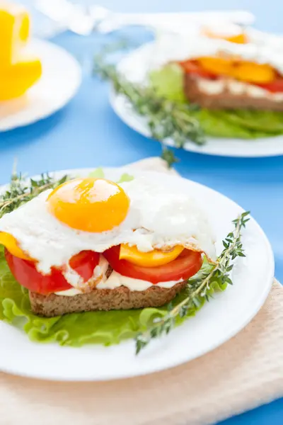 Fried eggs with vegetables on toast — Stock Photo, Image