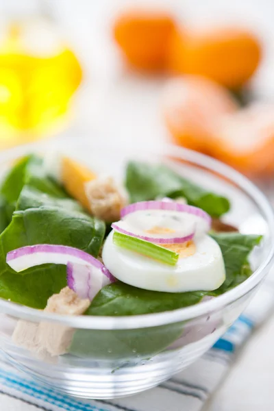 Salada leve com espinafre e ovo — Fotografia de Stock